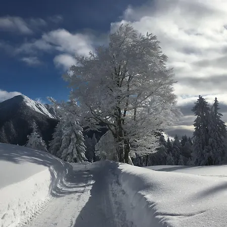 Sr Gmbh Rabitschhof Seefeld in Tirol